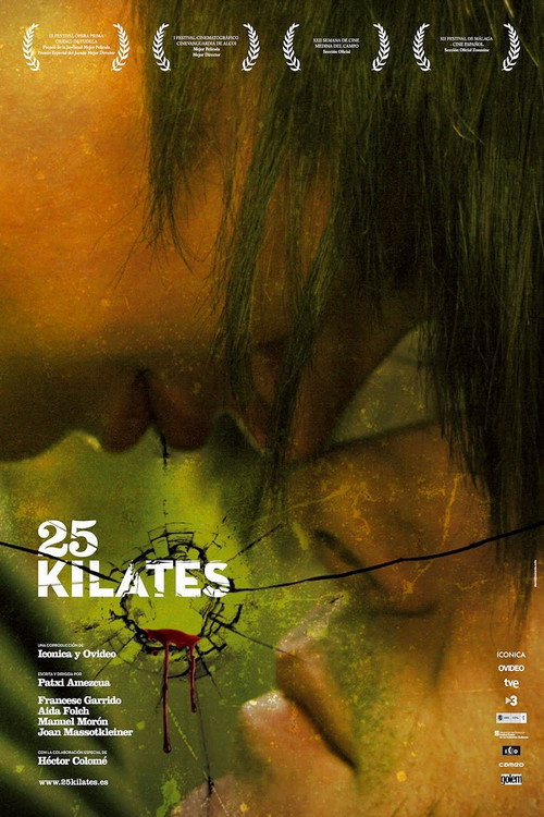 25 carat poster
