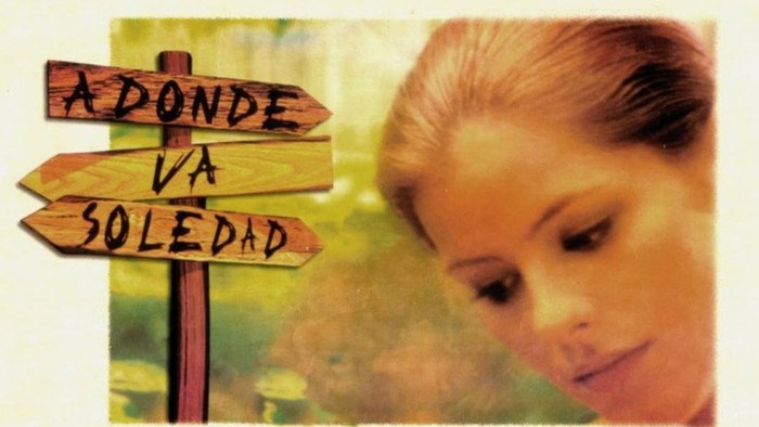 A donde va Soledad poster