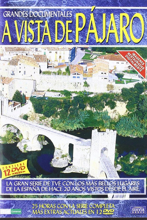 A vista de pájaro poster