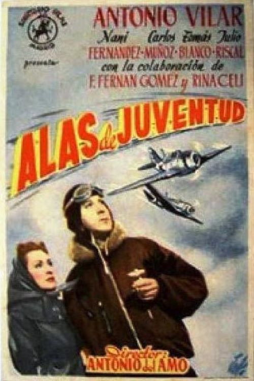Wings of Youth poster