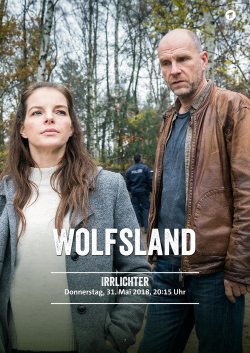 Irrlichter poster
