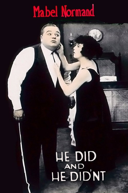 He Did and He Didn't poster