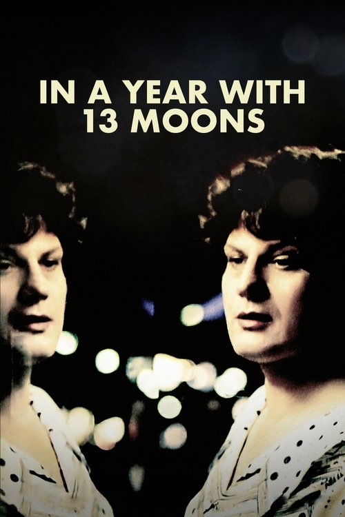 In a Year of 13 Moons poster