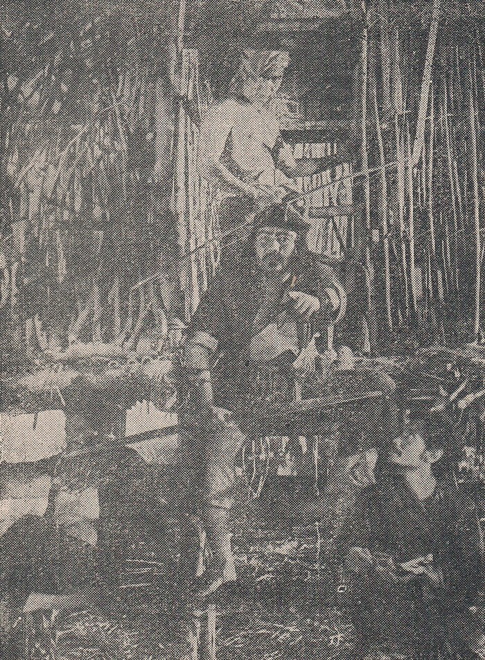 Anak Perawan di Sarang Penjamun poster