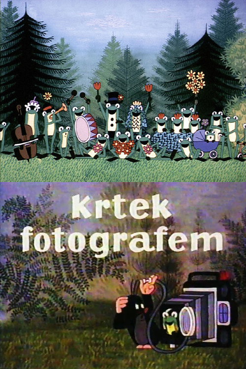 The Mole as a Photographer poster