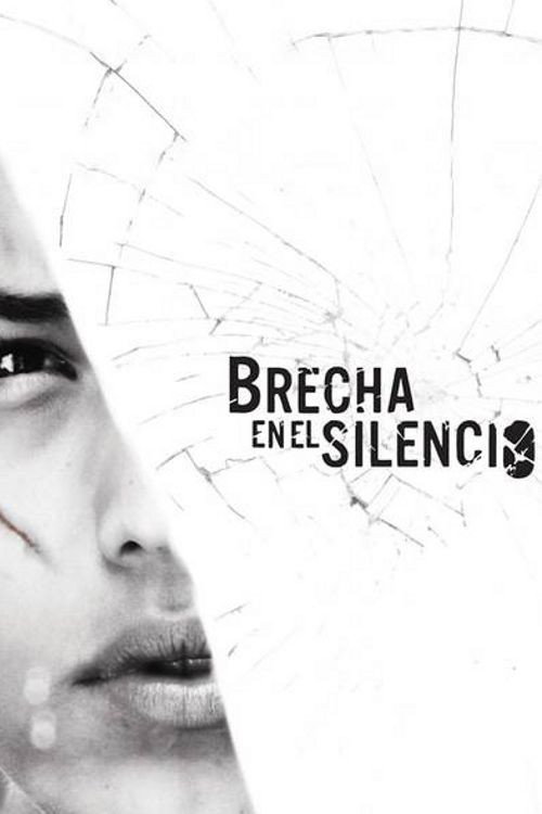 Breach in the Silence poster