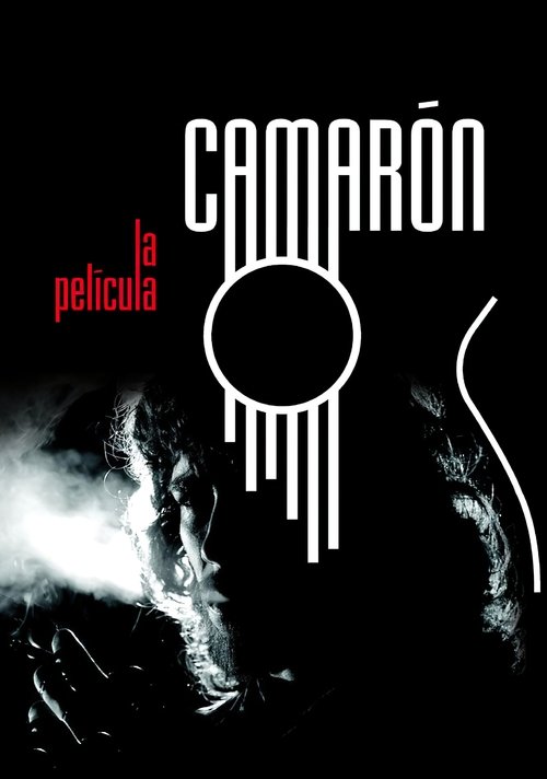 Camarón poster