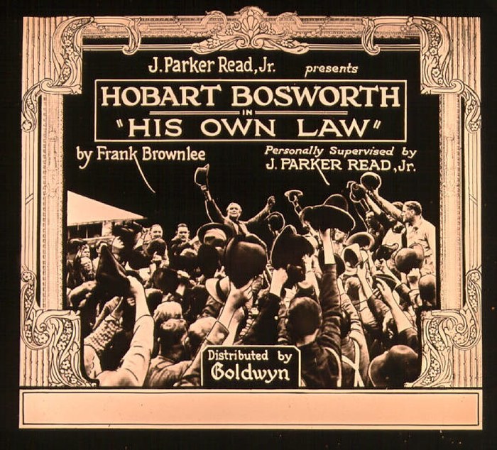 His Own Law poster