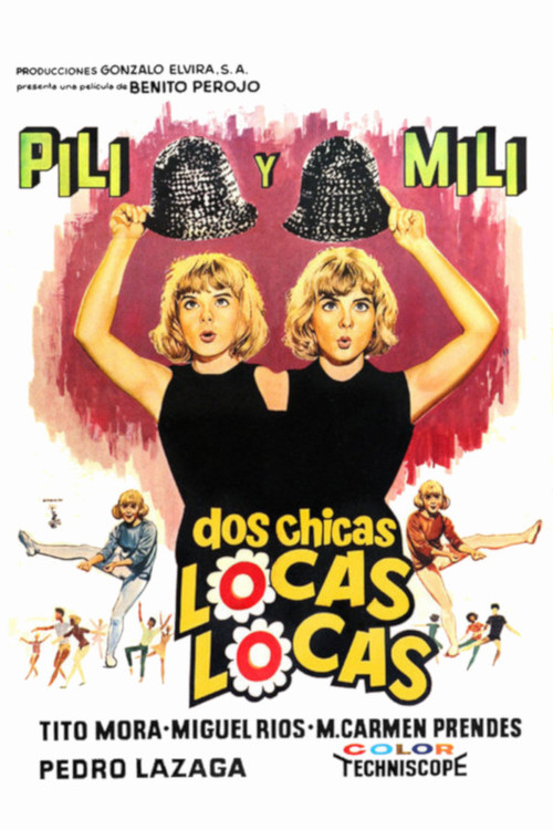 Dos chicas locas, locas poster