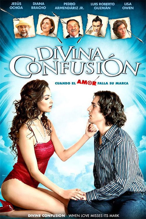 Divina confusión poster