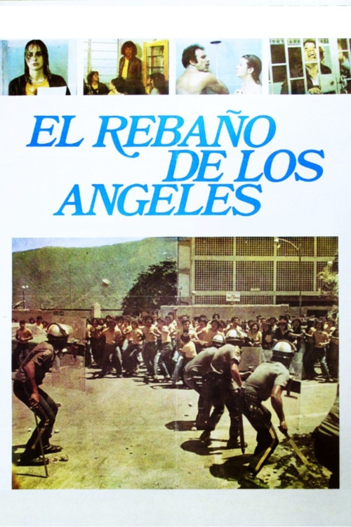 El rebaño de los ángeles poster