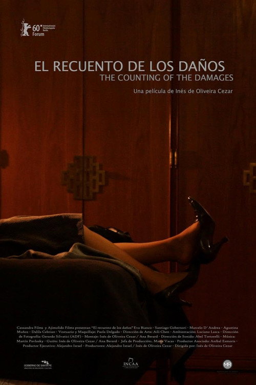 The Recount of the Damages poster