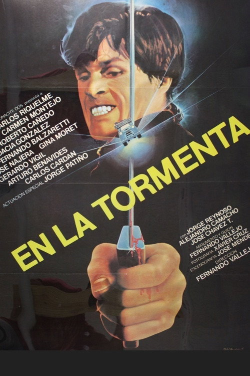 En la tormenta poster