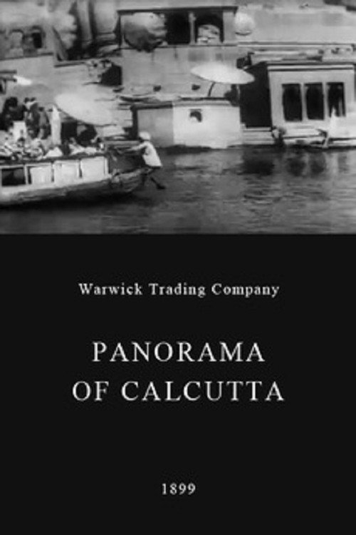 Panorama of Calcutta poster