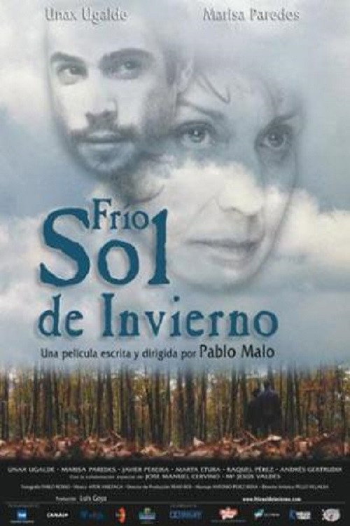 Frío sol de invierno poster