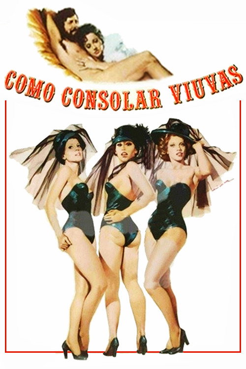 How to Console Widows poster