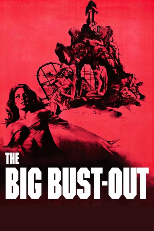 The Big Bust Out poster