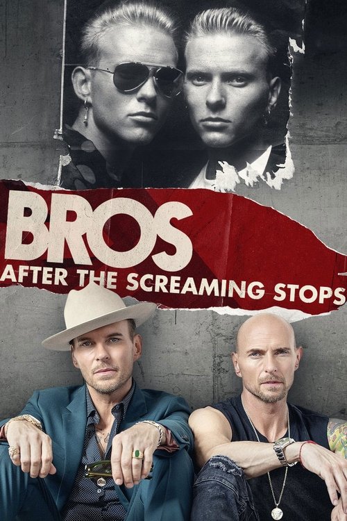 Bros: After the Screaming Stops poster