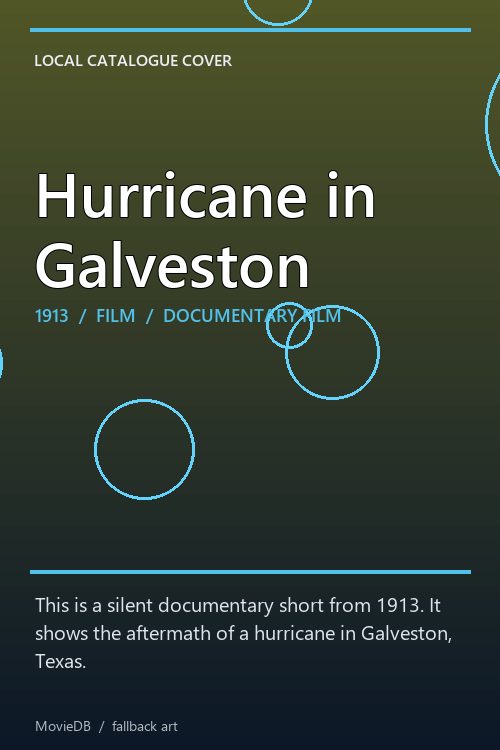 Hurricane in Galveston poster