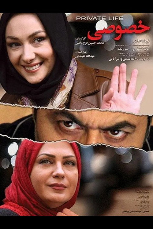 The Private Life poster