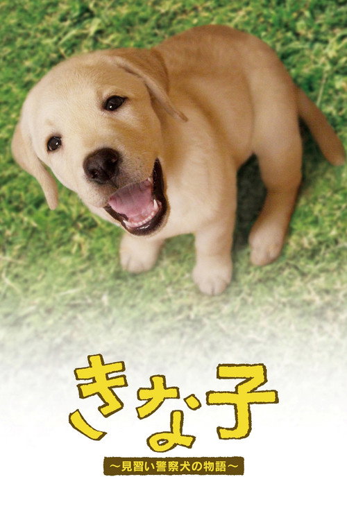 Kinako poster