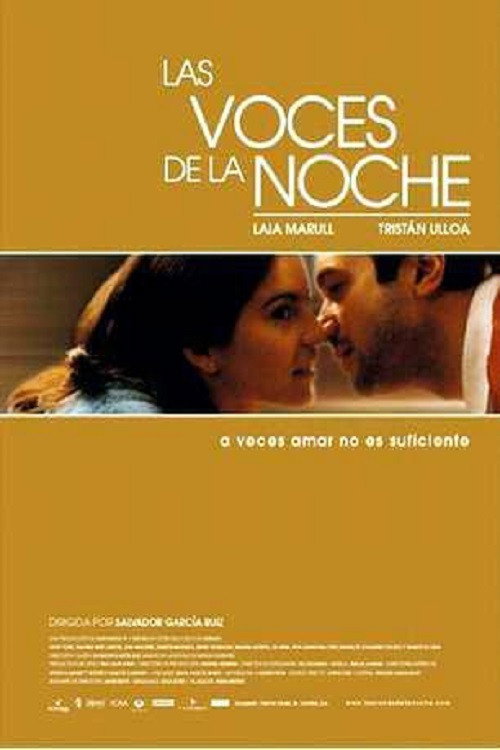 Voices in the Night poster