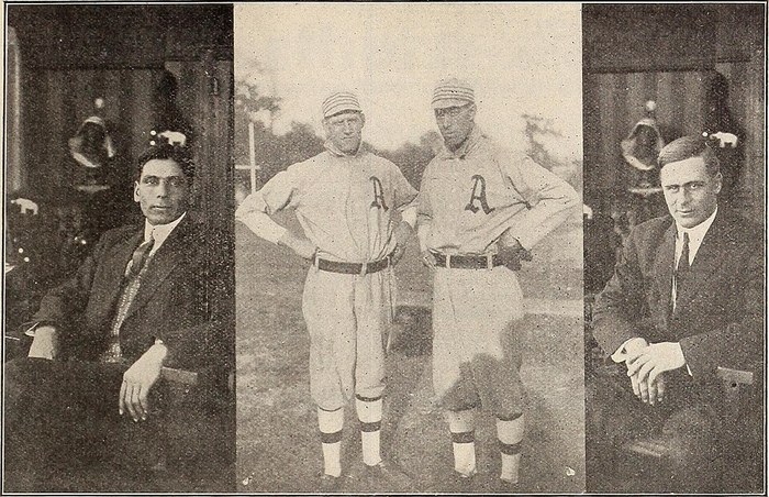 The Baseball Bug poster