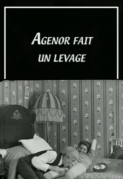 Agenor is Picking Up poster