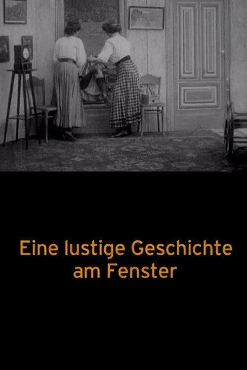 A Funny Story at the Window poster
