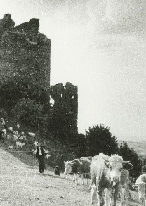 Stones, Castles, Men poster