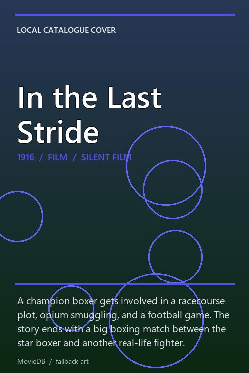 In the Last Stride poster