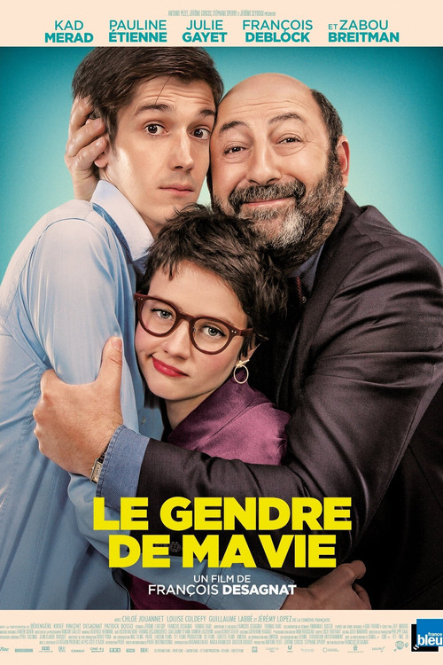 Le gendre de ma vie poster