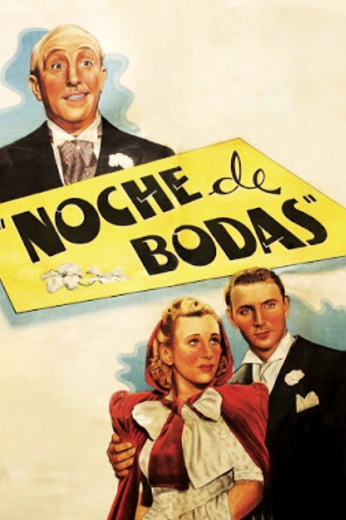 The Wedding Night poster