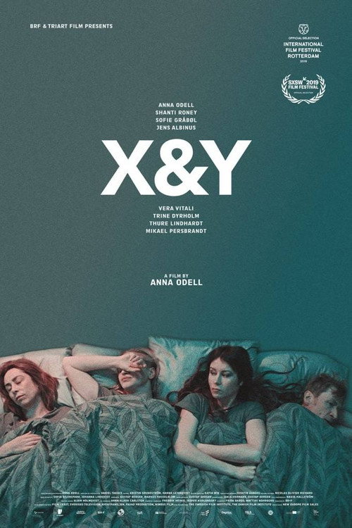 X & Y poster