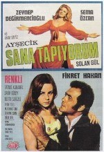 Ayşecik Sana Tapıyorum poster