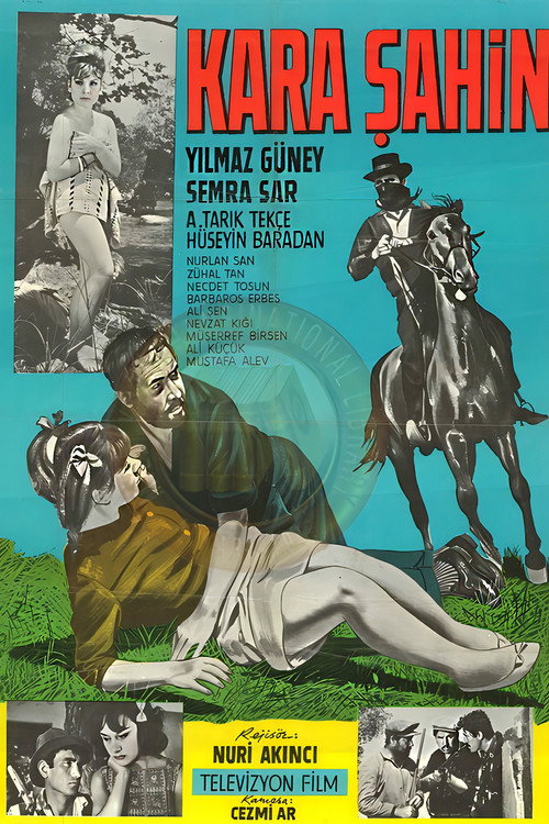 Black Hawk poster
