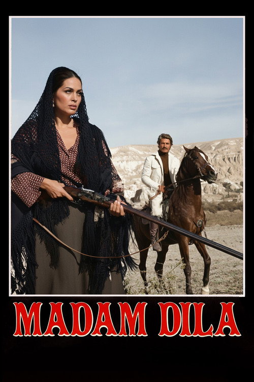 Dila Hanım poster
