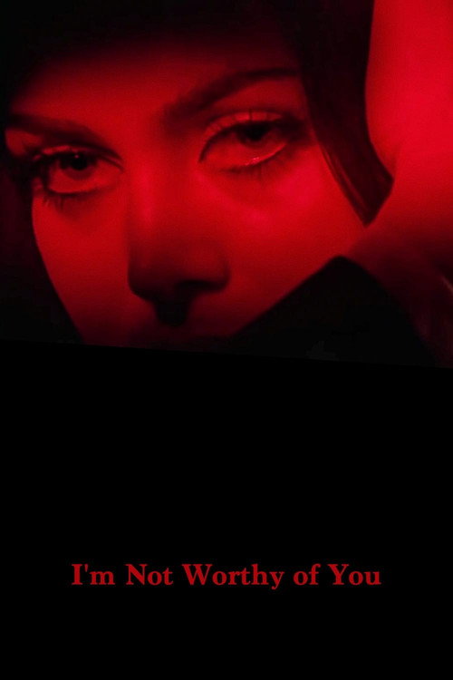 Sana Lâyik Degilim poster