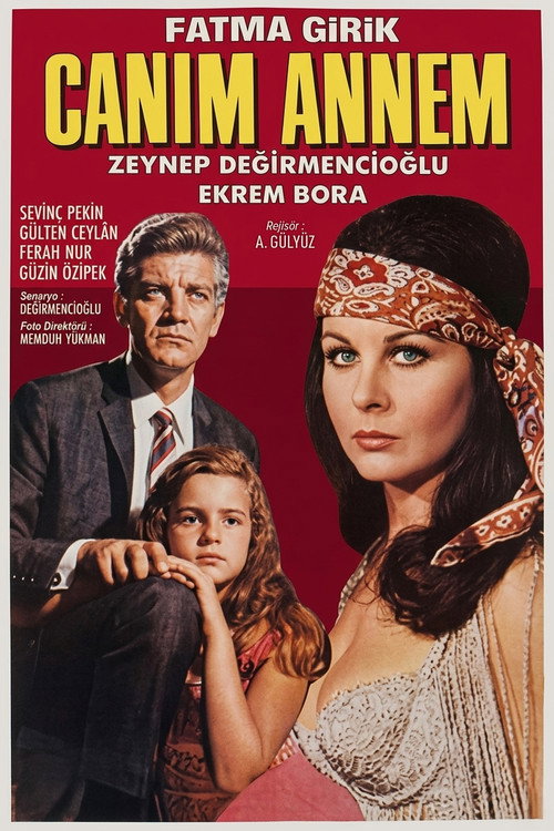 Ayşecik: Canım Annem poster