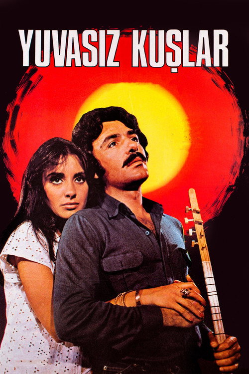 Yuvasiz Kuslar poster