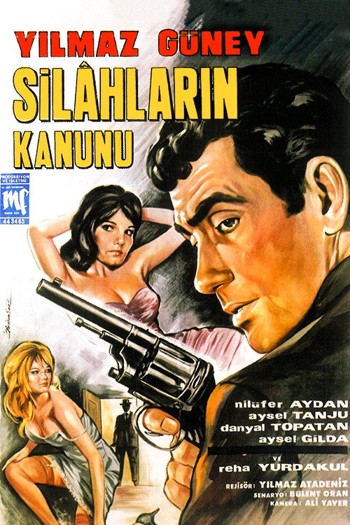 Law of the Guns poster