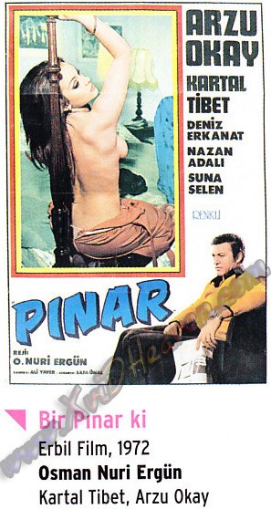 Bir Pınar ki poster