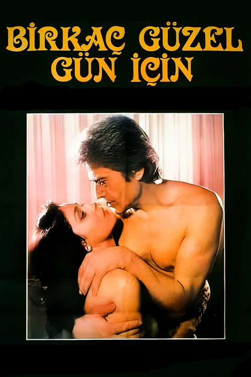 Birkaç Güzel Gün İçin poster