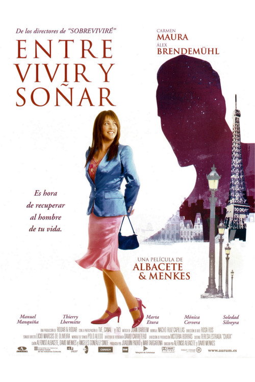 Searching for Love poster