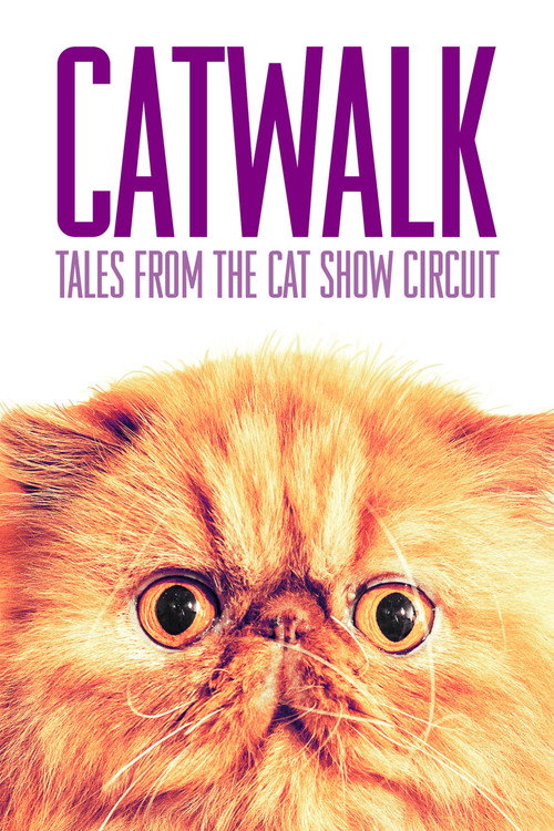 Catwalk: Tales from the Cat Show Circuit poster