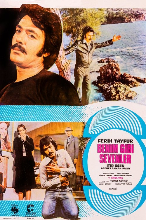 Benim Gibi Sevenler poster