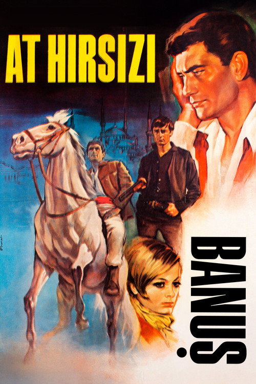 At Hırsızı Banuş poster