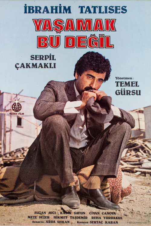 Yasamak Bu Degil poster