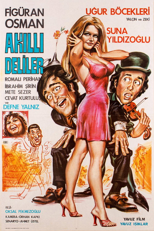 Akilli Deliler poster