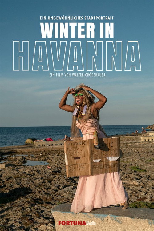 Winter in Havana poster